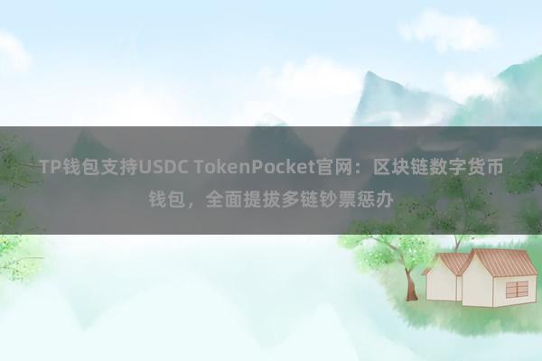 TP钱包支持USDC TokenPocket官网：区块链数字货币钱包，全面提拔多链钞票惩办